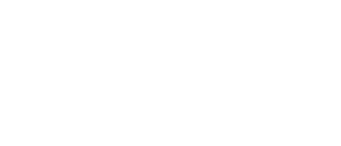 John Vo Consulting